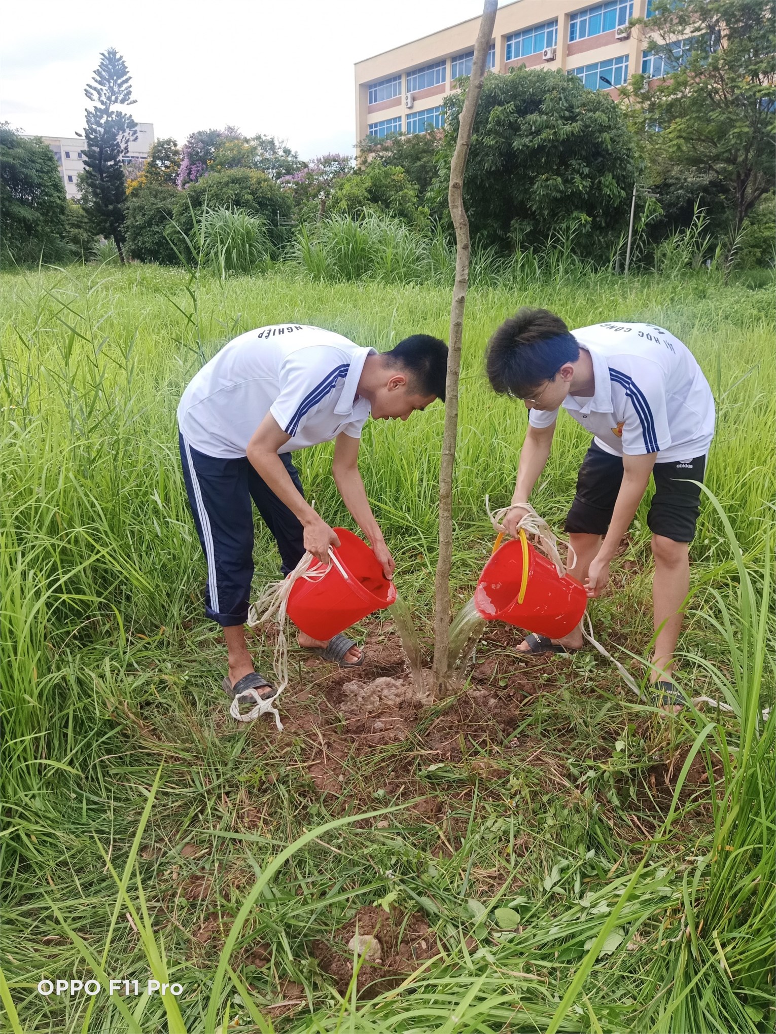 Chủ nhật xanh - Trường học không rác thải nhựa