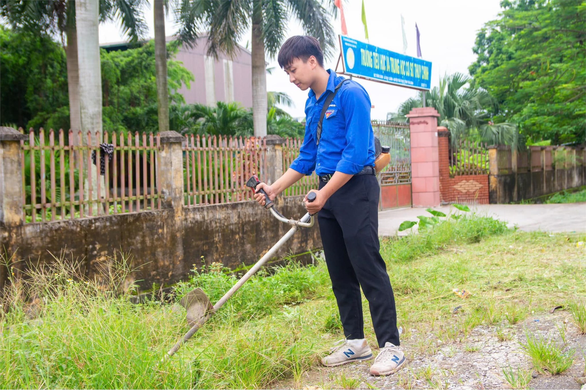 Chiến dịch mùa hè xanh 2024