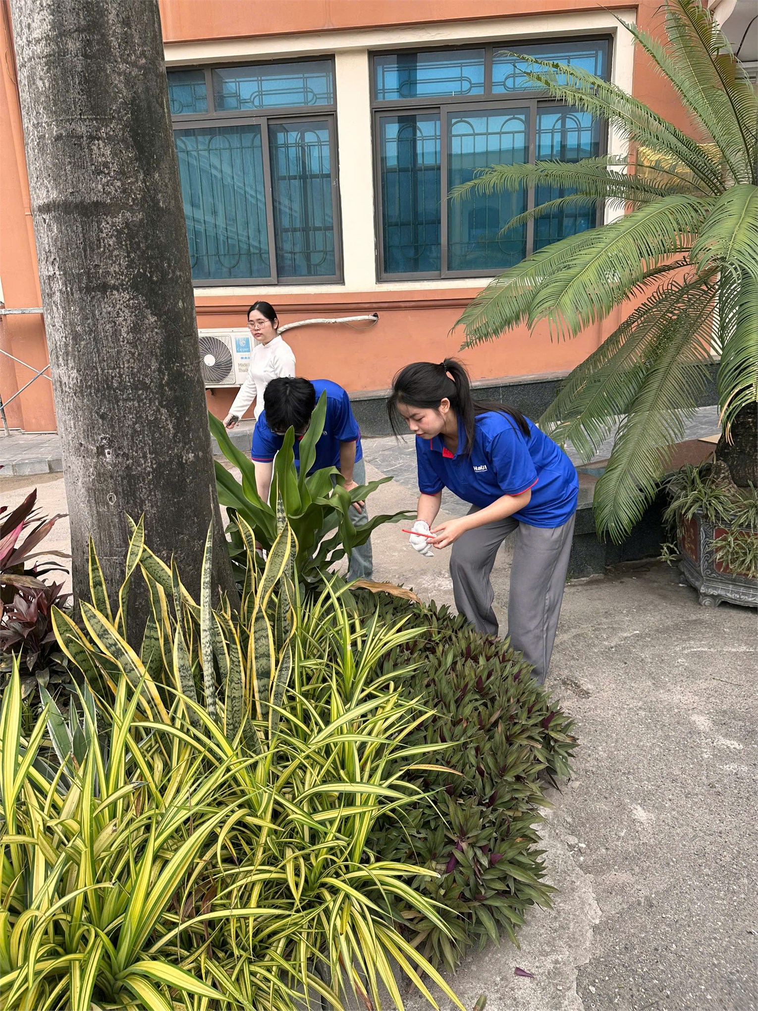 Ngày Chủ nhật xanh lần thứ 3 năm 2025