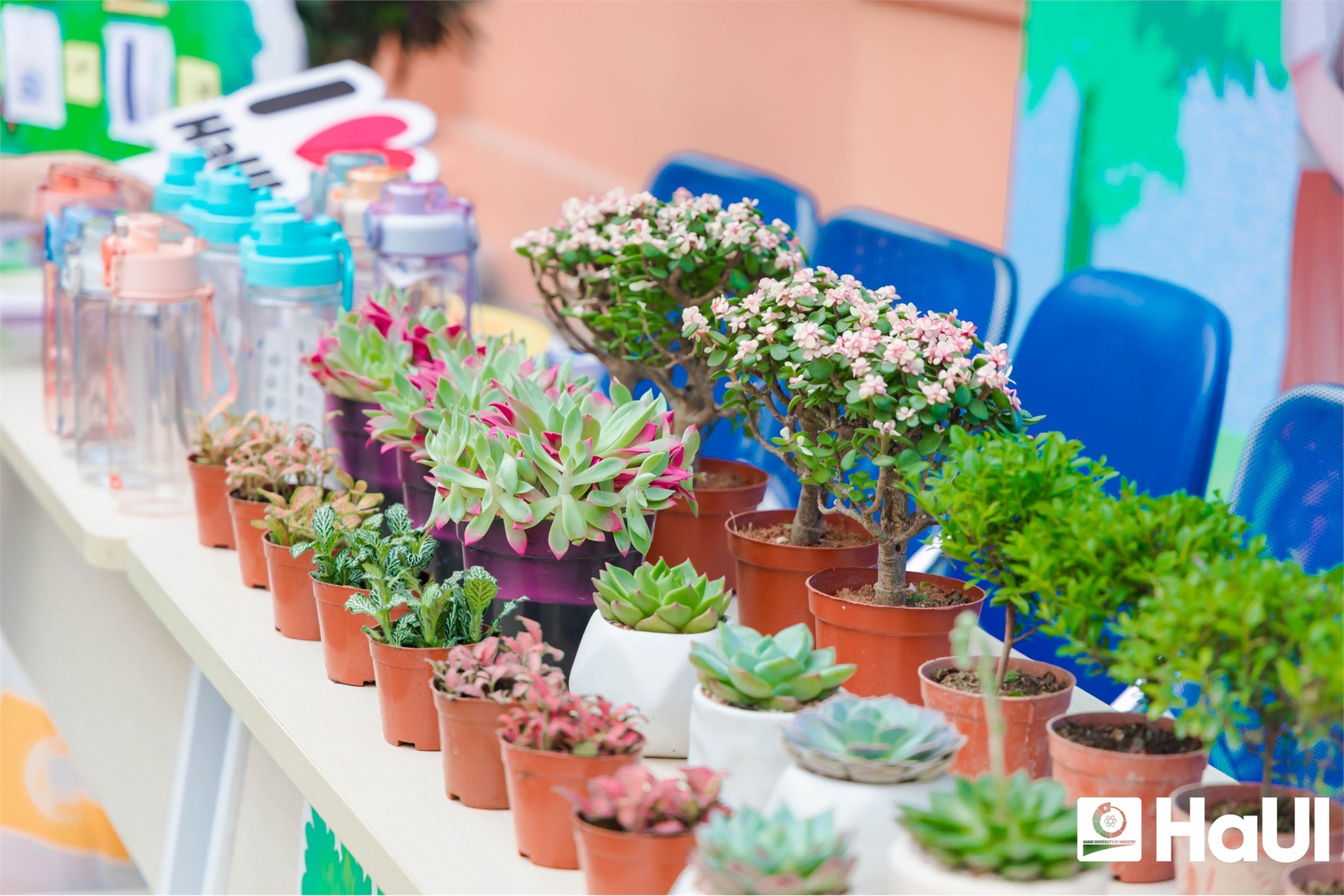 Tuổi trẻ HaUI lan tỏa lối sống xanh qua chương trình ` Ngày hội Xanh - Sáng tạo - Bền vững`